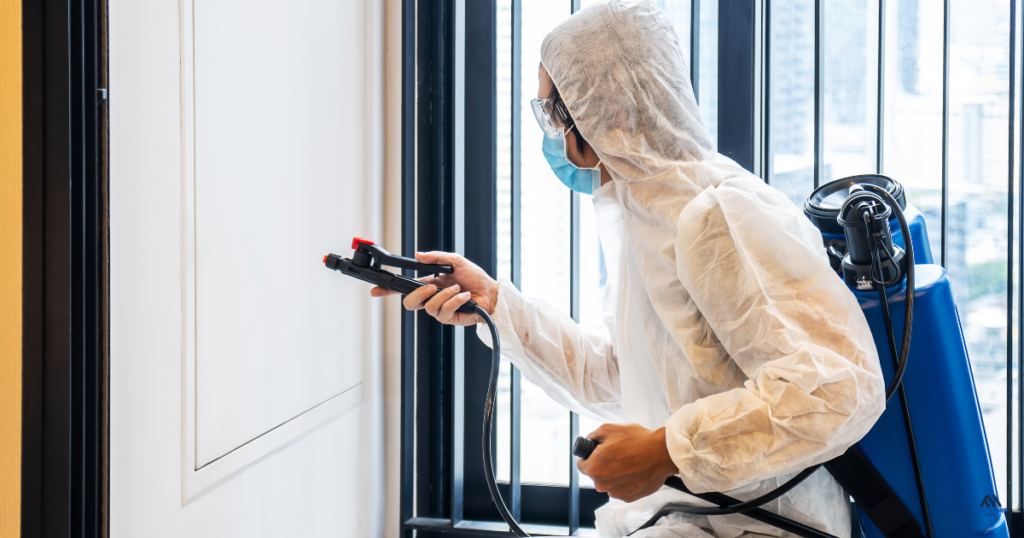 Pest infestation prevention in home kitchen showing sealed containers and clean surfaces